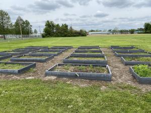 LaLumier Elementary School community garden site.